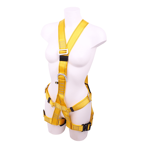 Ridgegear RGH35 Ladies 2 Point Safety Harness