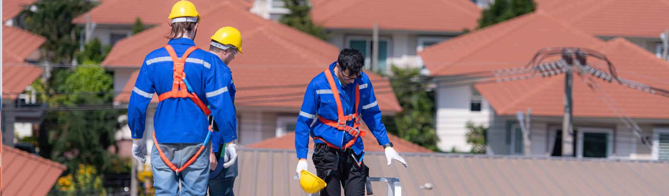 The Importance Of Harnesses For Roof Work