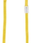 work positioning lanyard